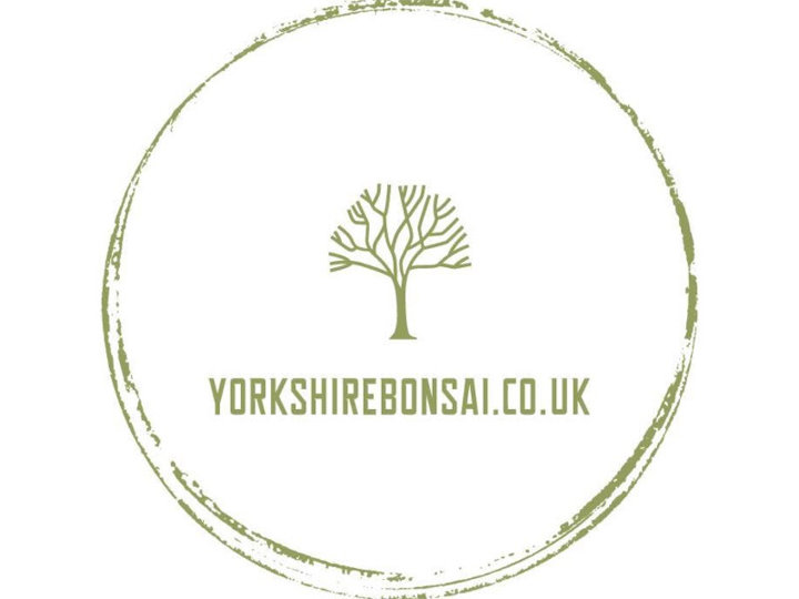 Yorkshire Bonsai